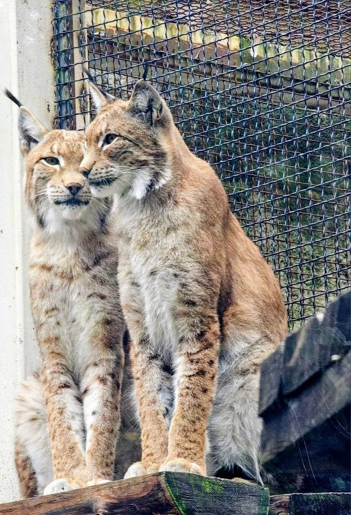 Красивая пара