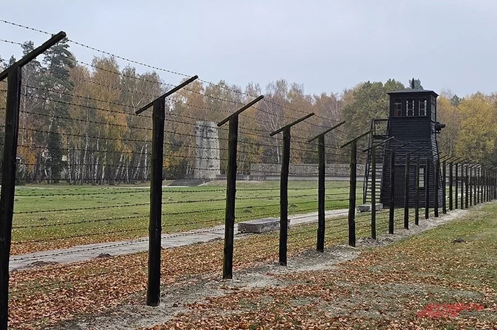АиФ / Георгий Зотов