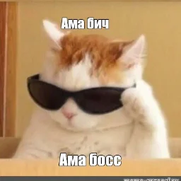 user7689747