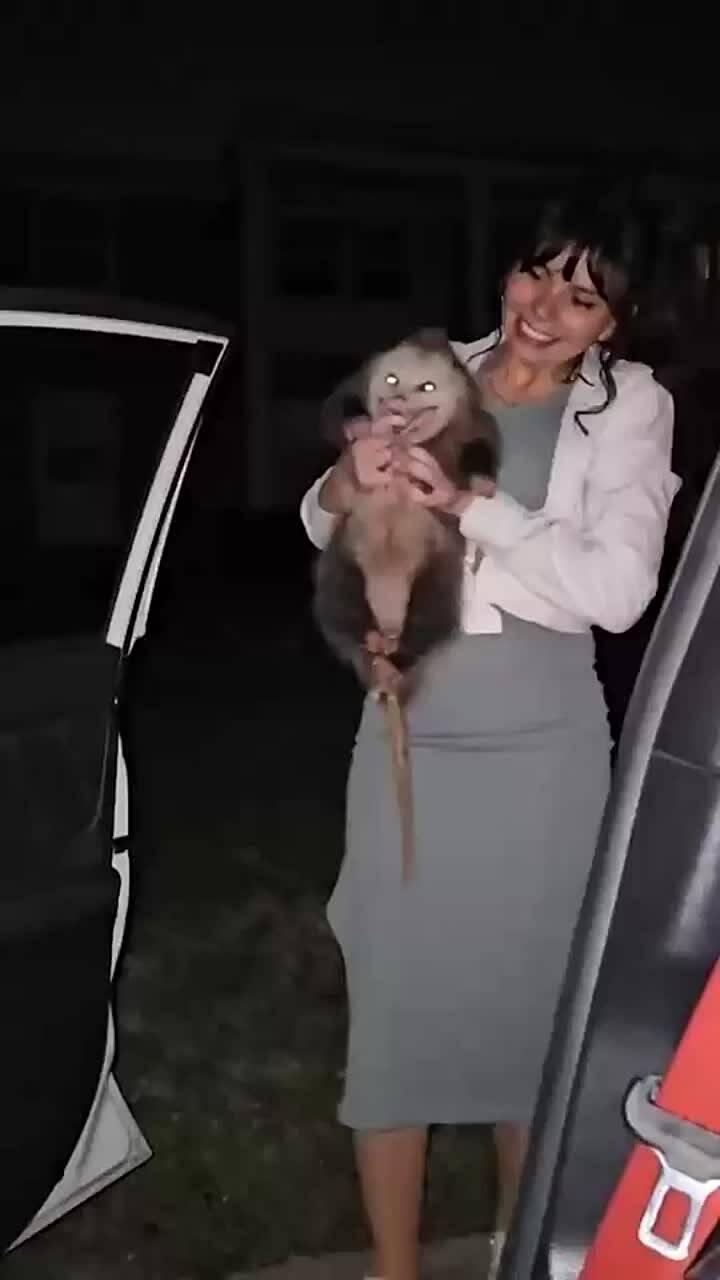 ������������