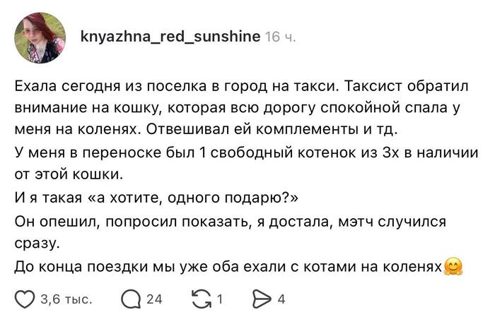 Поездка на шесть звёзд