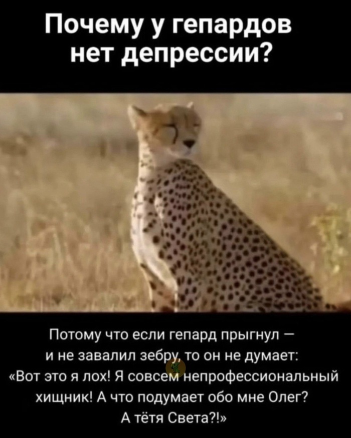 ������ � �������� ��� ���������