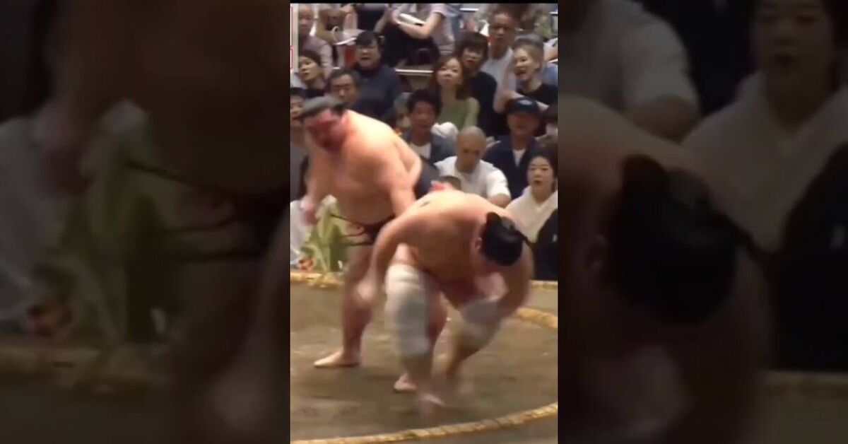 One mistake and you're wrong. - Series Sumo in simple language, My, Sumo, Sumo wrestlers, Sport, Fight, Video, Youtube, Short videos