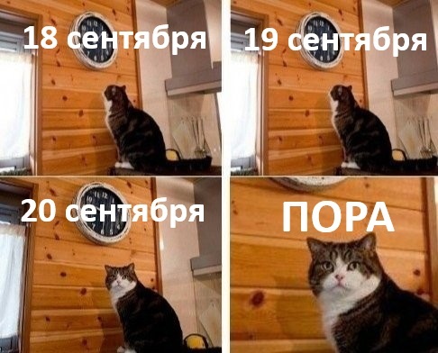 Пора