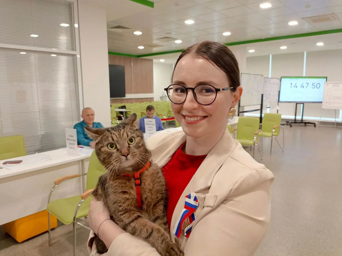 Внештатный сотрудник кот Тони создаёт прекрасное настроение на избирательном участке в Курске