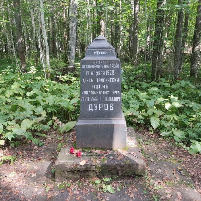 ����� � 1933 ����