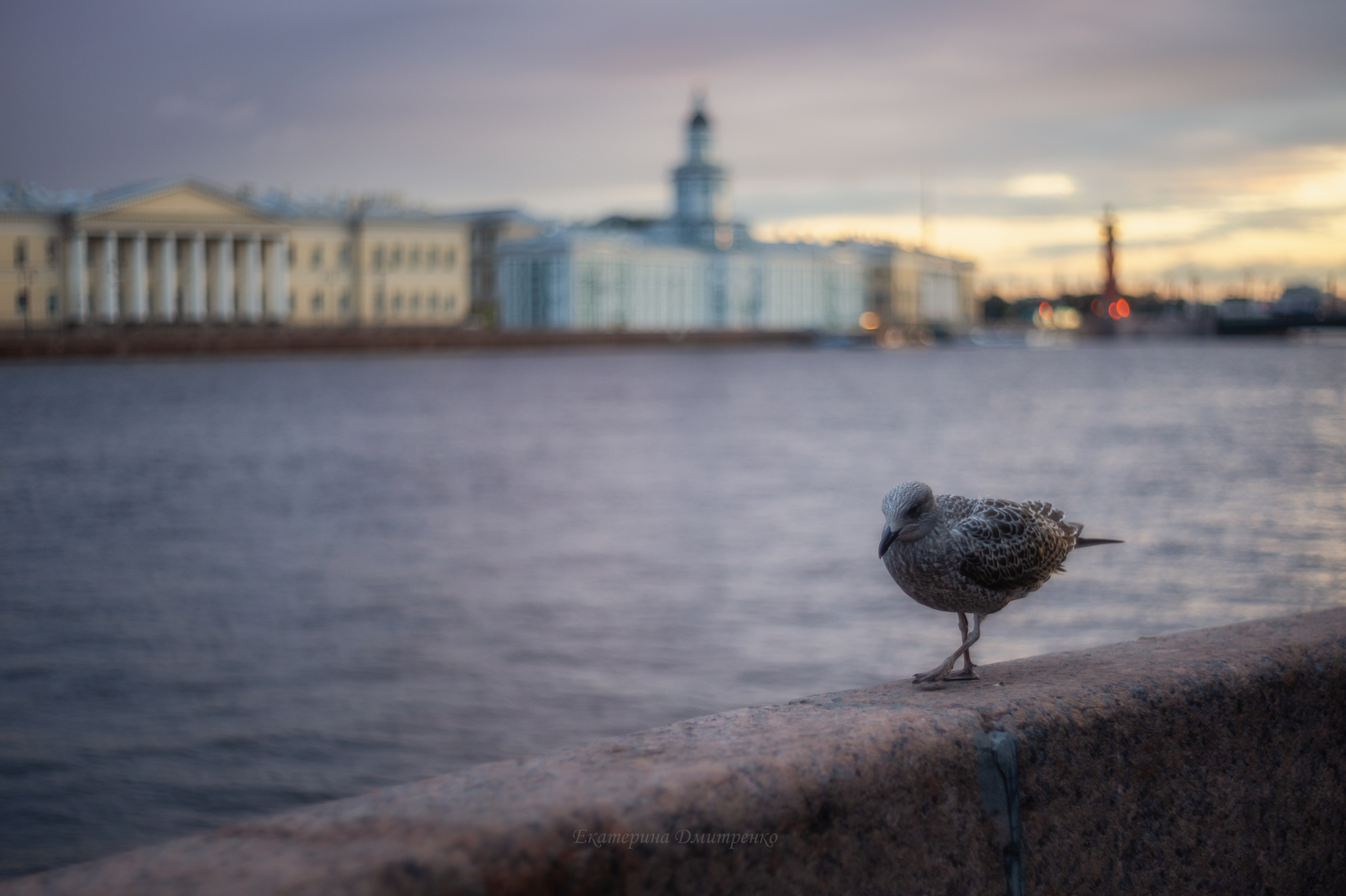 Morning in St. Petersburg - My, Landscape, The photo, Beautiful view, Saint Petersburg, Neva, Kunstkamera, Rainbow, Morning, Sunrises and sunsets, dawn, Summer, Longpost