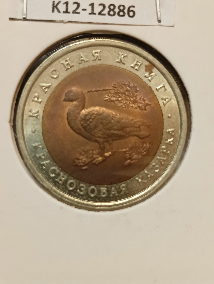 10 ������ 1992, ������� ����� - ����������� �������