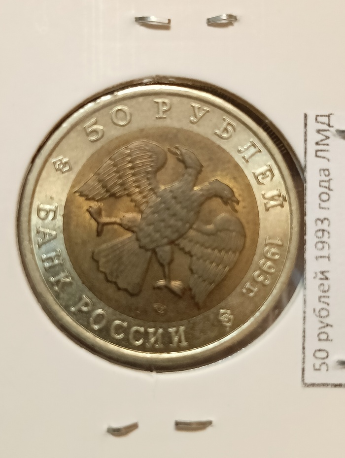 50 ������ 1993, ������� ����� - ���������� �������