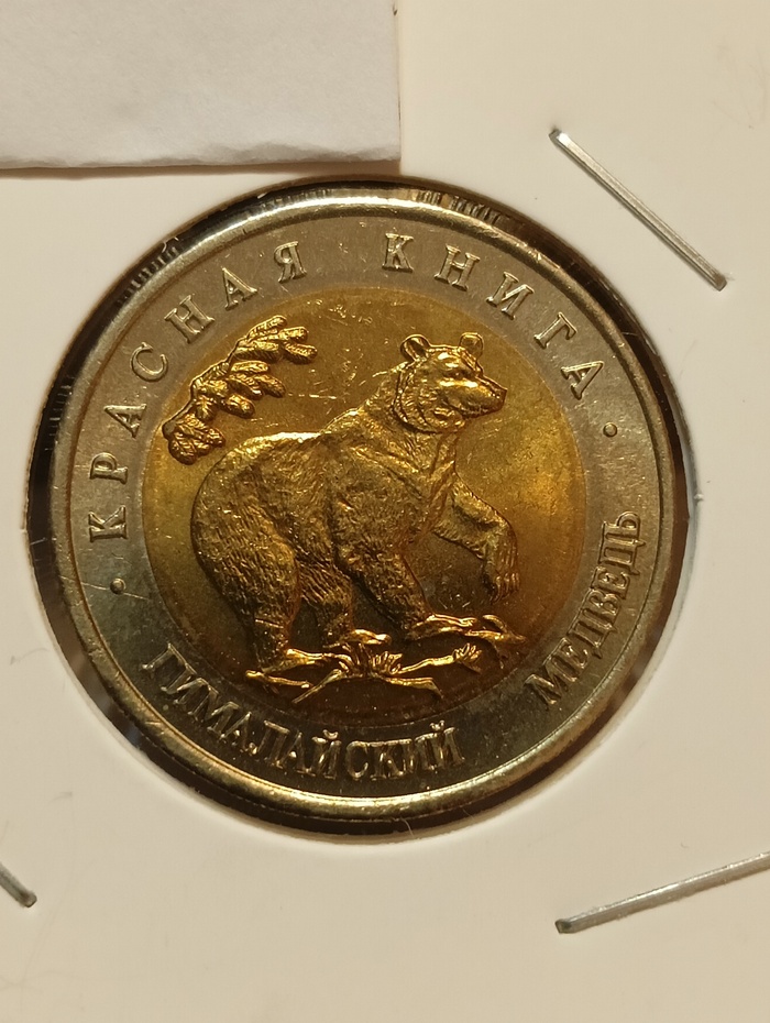 50 ������ 1993, ������� ����� - ����������� �������