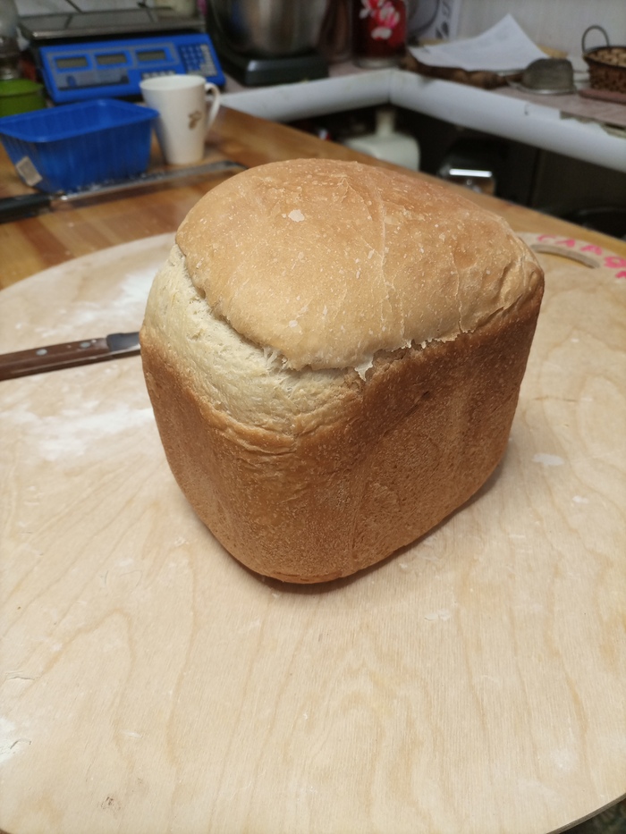 ��� ����� ������ ������