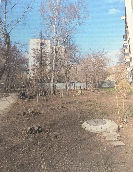 Вместо зарослей оставили самые сильные ветви Источник: Марина Кутлева