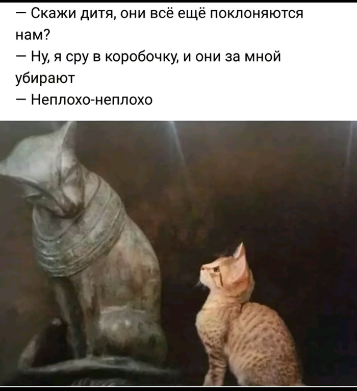 А ведь мы пашем ради того, чтоб они кушали