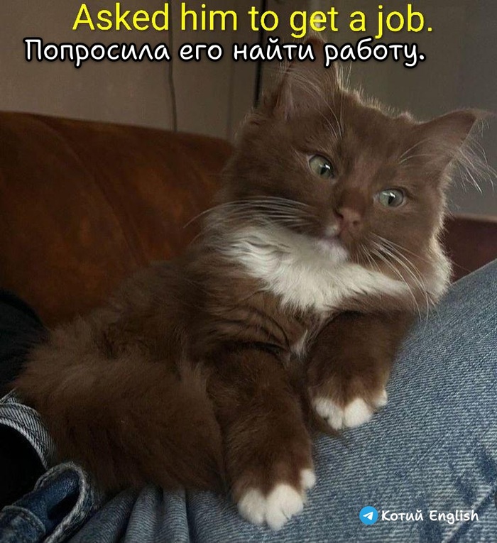 �������� � �������