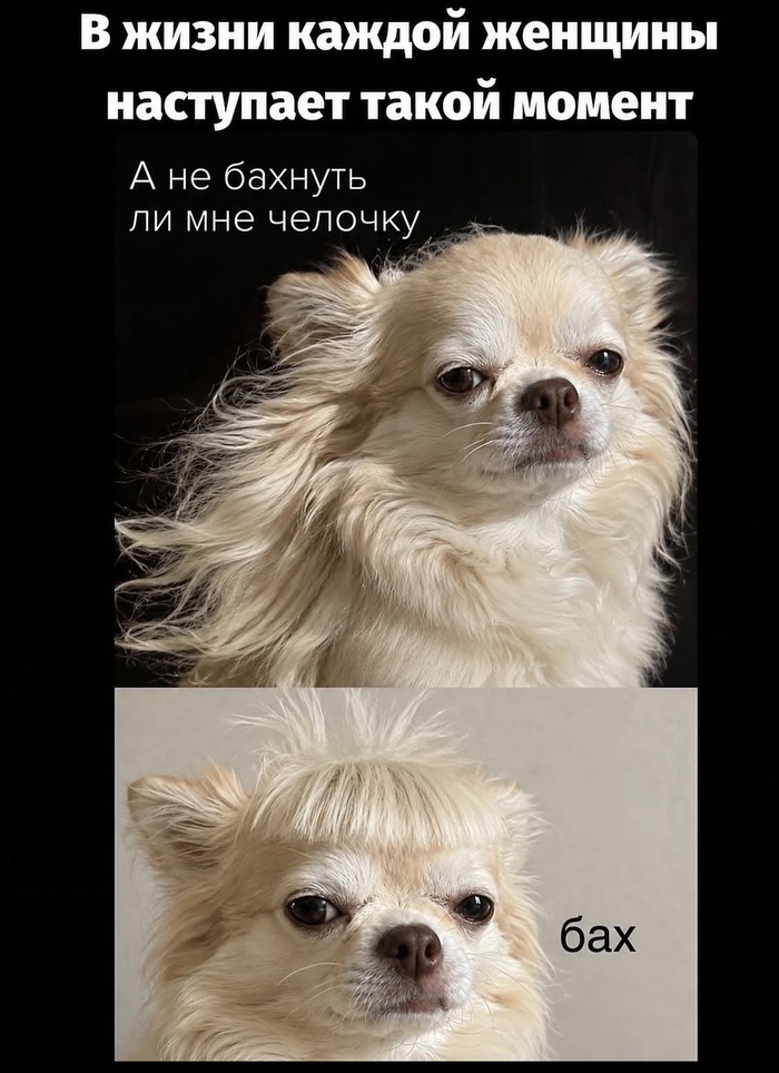 И так каждый раз