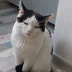 Hrundellyabr