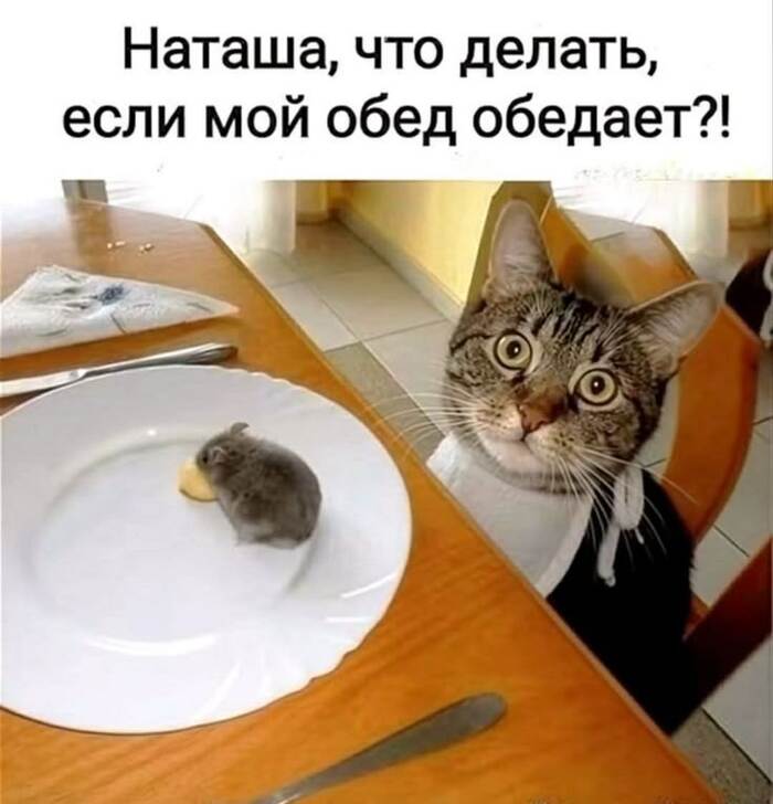 ������������������ ����������� ���� � ������� ����