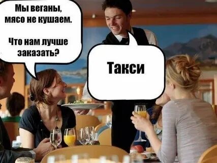 Ответ Tannhauser9 в «Моя девушка-веган поставила ультиматум: или она, или моя кошка, потому что кошки — хищники и "убивают других животных"»
