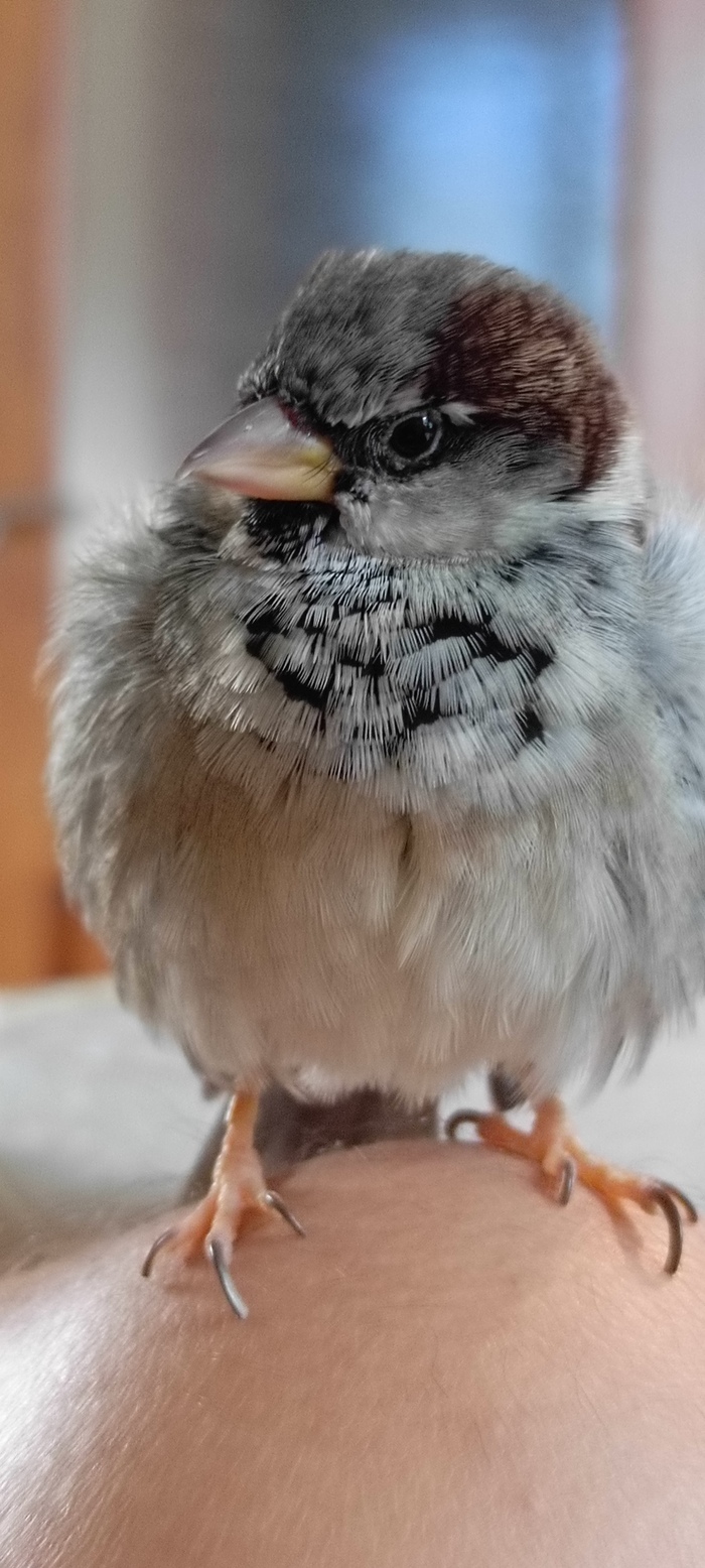 � ��� ��� ���