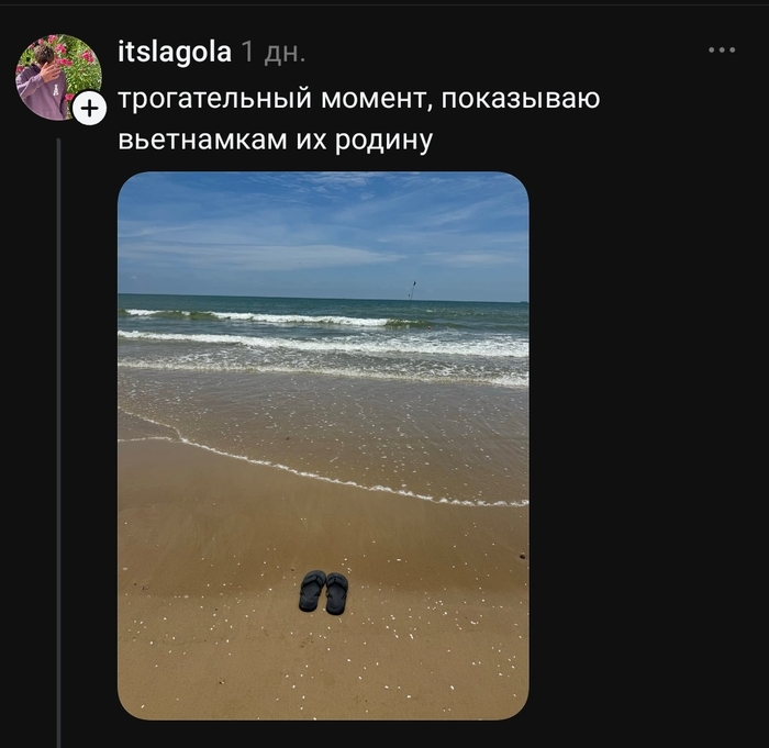 Надеюсь им понравилось