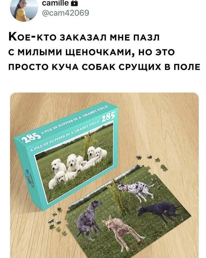 _