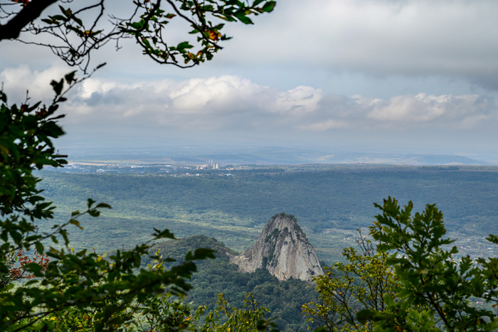 Гора Медовая.