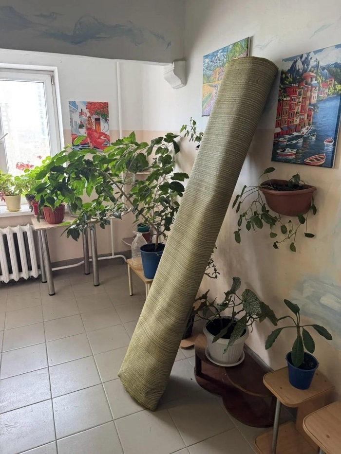 Поселилась в обычном подъезде Вера Степановна, которая ненавидит серость. И началось