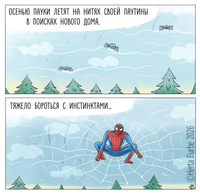 Если ты паук...