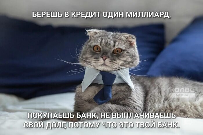 Какой довольный
