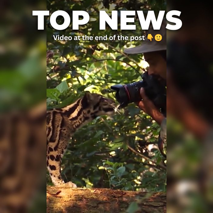 ������ ������: ������ ��������� �������� ������� �������� � ������������� National Geographic!+(����� )