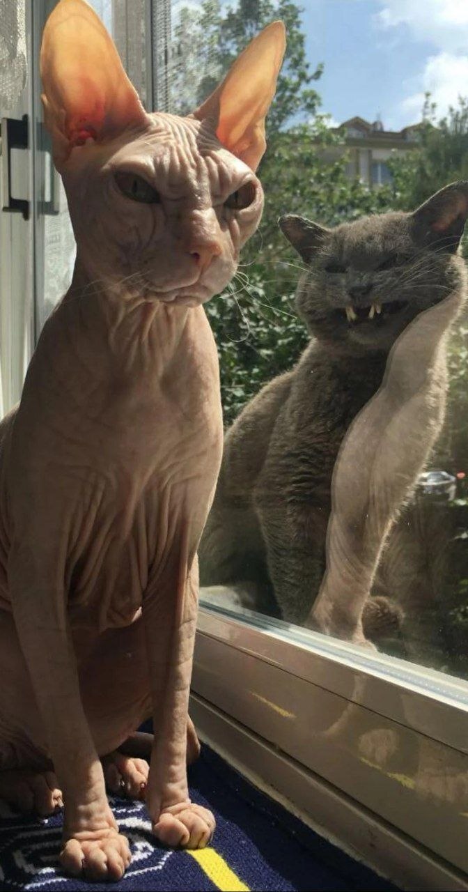 У окна