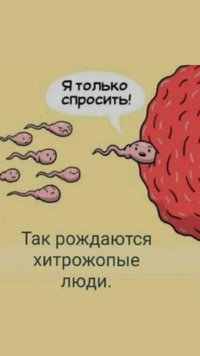 ��� ��������� ���������� ����