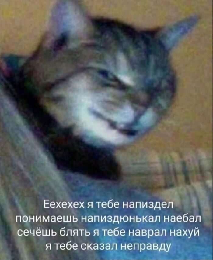 Страх и ненависть на Peek-a-Boo