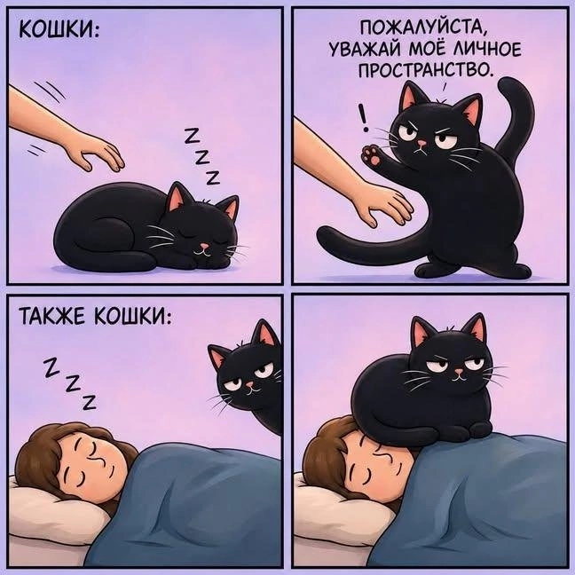 Хитрые