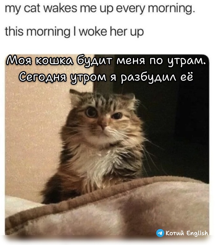 Ответный ход