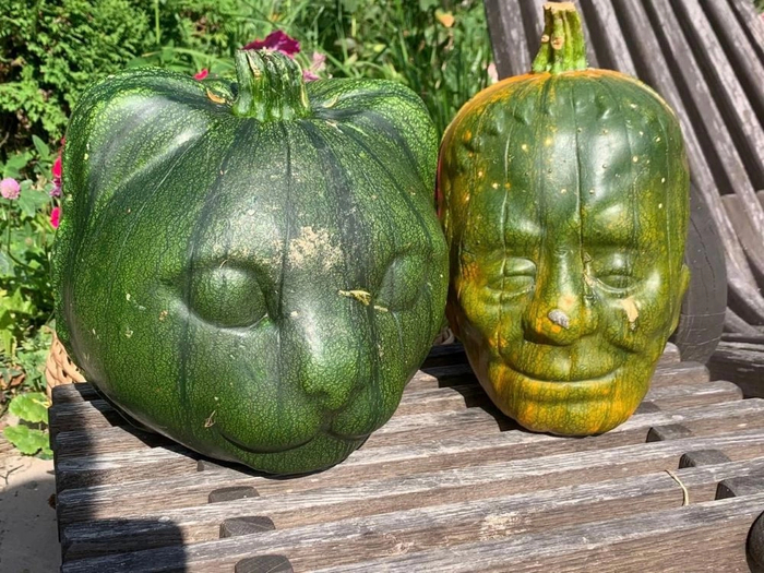����: �� ������� �����a