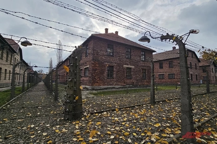 ����: ������� ����� / ���