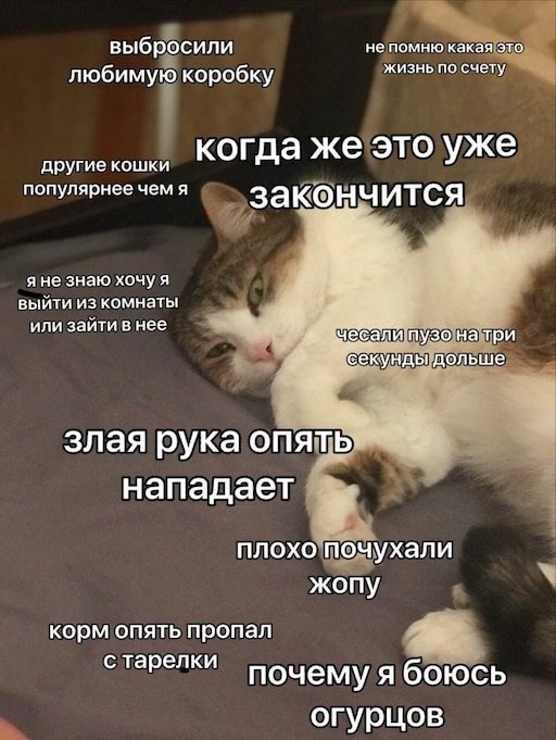 #ОЧ03