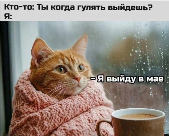 �����?