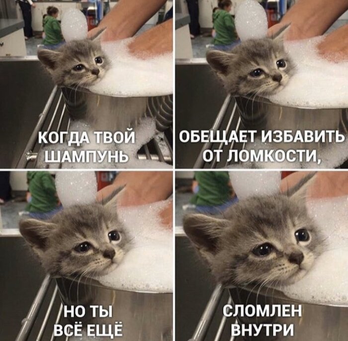 #O4O6