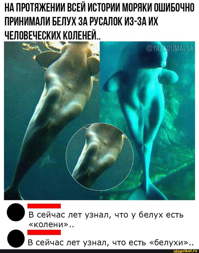 ��� ����� ���� ������ �� ��������� ��� ����� ���.