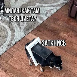 olivka17