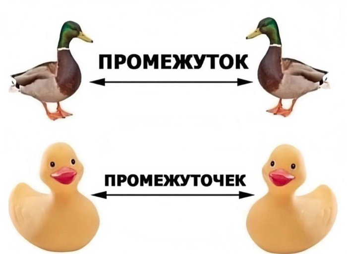 Между уток