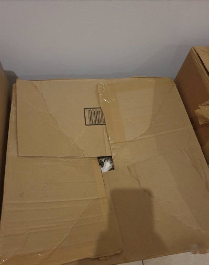 ��� ���