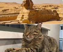 ������ ������� - ������������ ��������