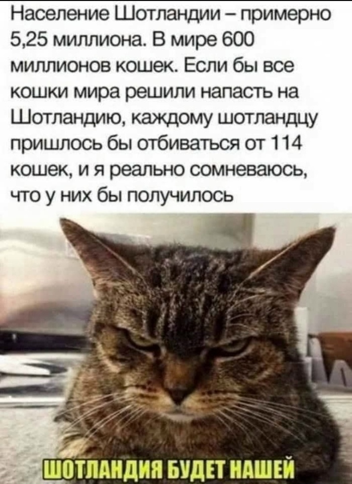 � ���� �� �������)