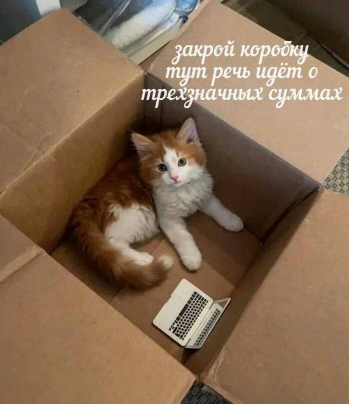 ��� ��� �� �������