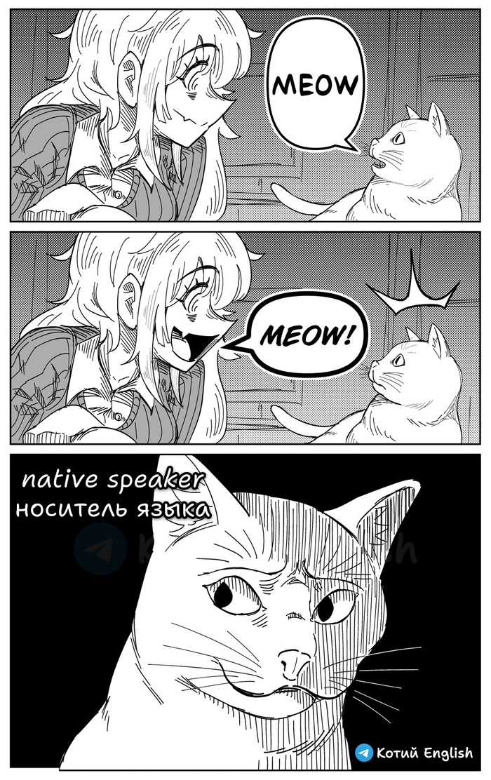 Носитель языка