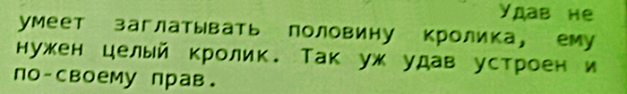 Без заголовка
