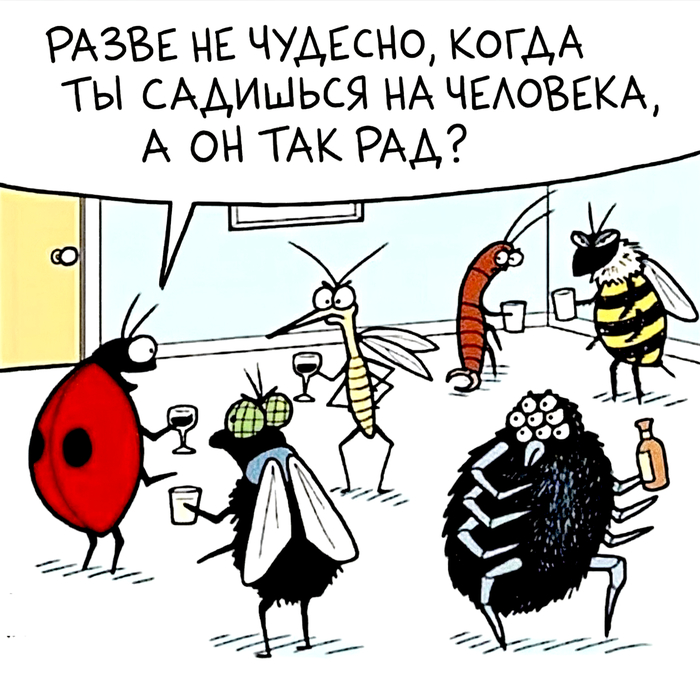 Слёт